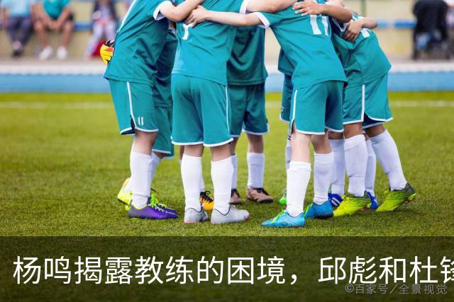 杨鸣揭露教练的困境，邱彪和杜锋的小团队行为是否成为自保策略？